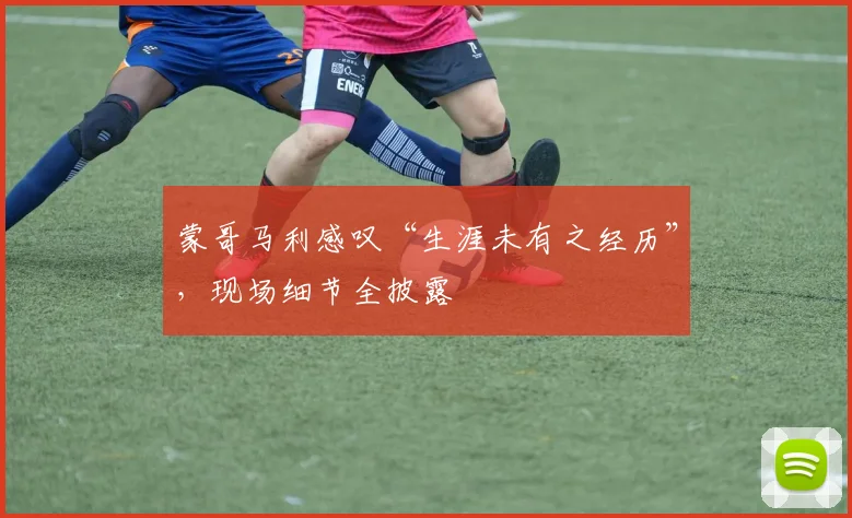 蒙哥马利感叹“生涯未有之经历”,现场细节全披露