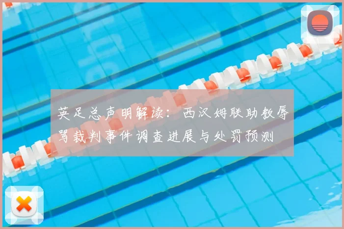 英足总声明解读:西汉姆联助教辱骂裁判事件调查进展与处罚预测